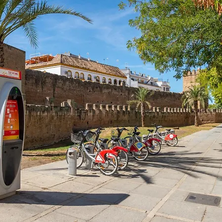 Modern Atico, Close Macarena/sevilla Center Apartment Seville